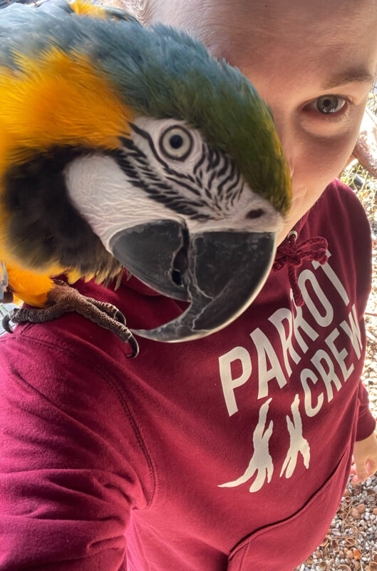 Sanne met coco blauw gele ara