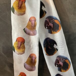 Gepersonaliseerde sokken eigen foto papegaai