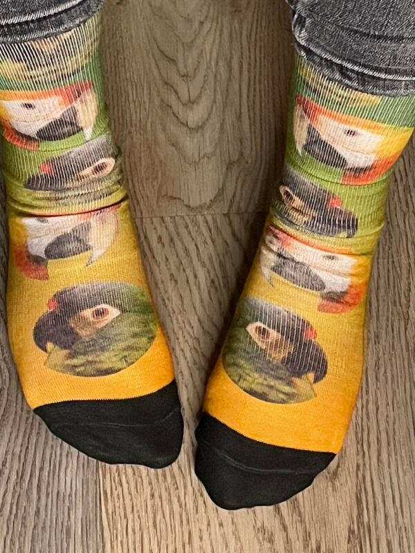 Gepersonaliseerde sokken eigen foto papegaai