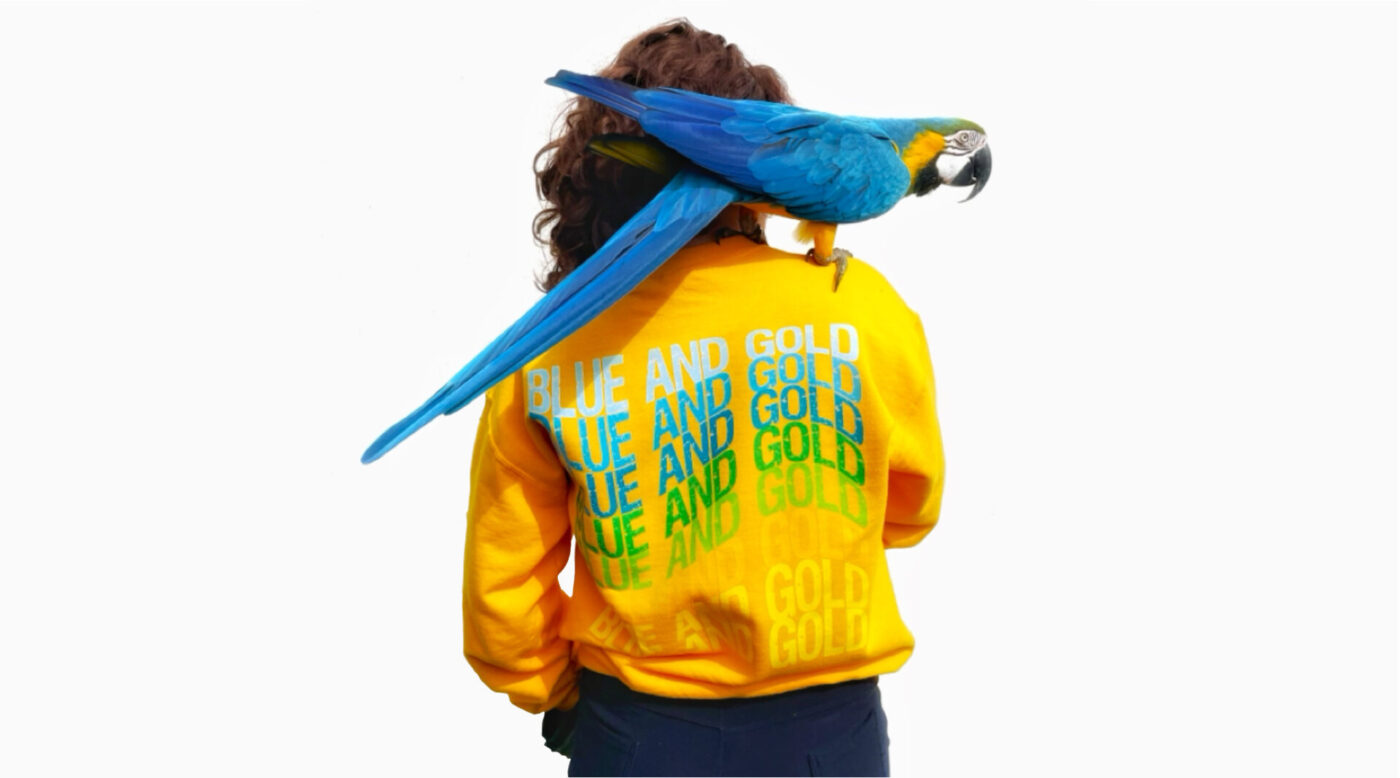 Banner Skaya met Skype en een gouden blue and gold print aan