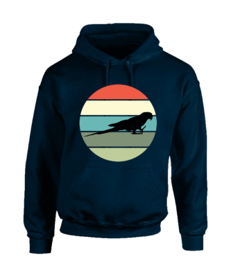 Sunset ara hoodie