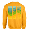 Blue and Gold sweater
