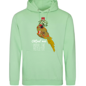 Kerst roodoor ara hoodie mintgroen