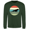Sunset ara maracana sweater