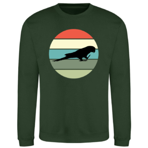 Sunset ara maracana sweater