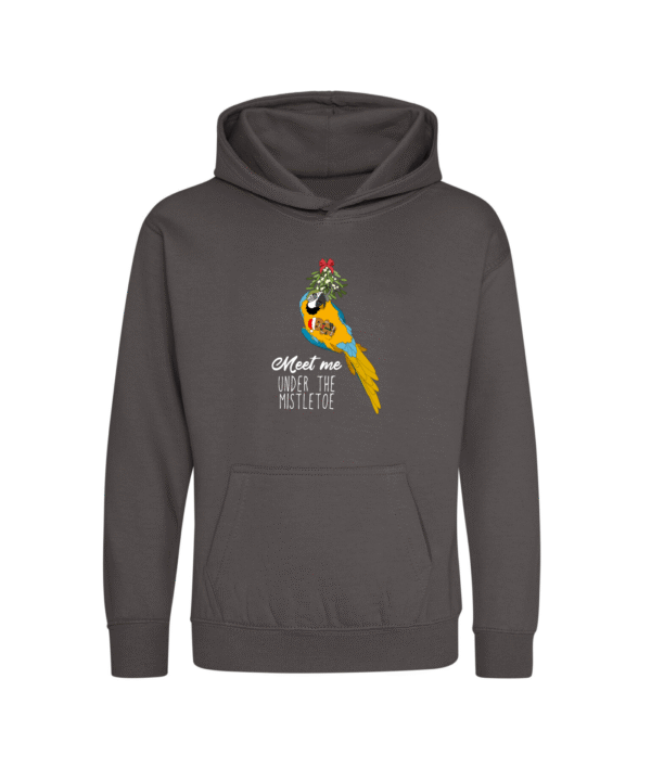 Kerst blauw gele ara kinder hoodie heather grey