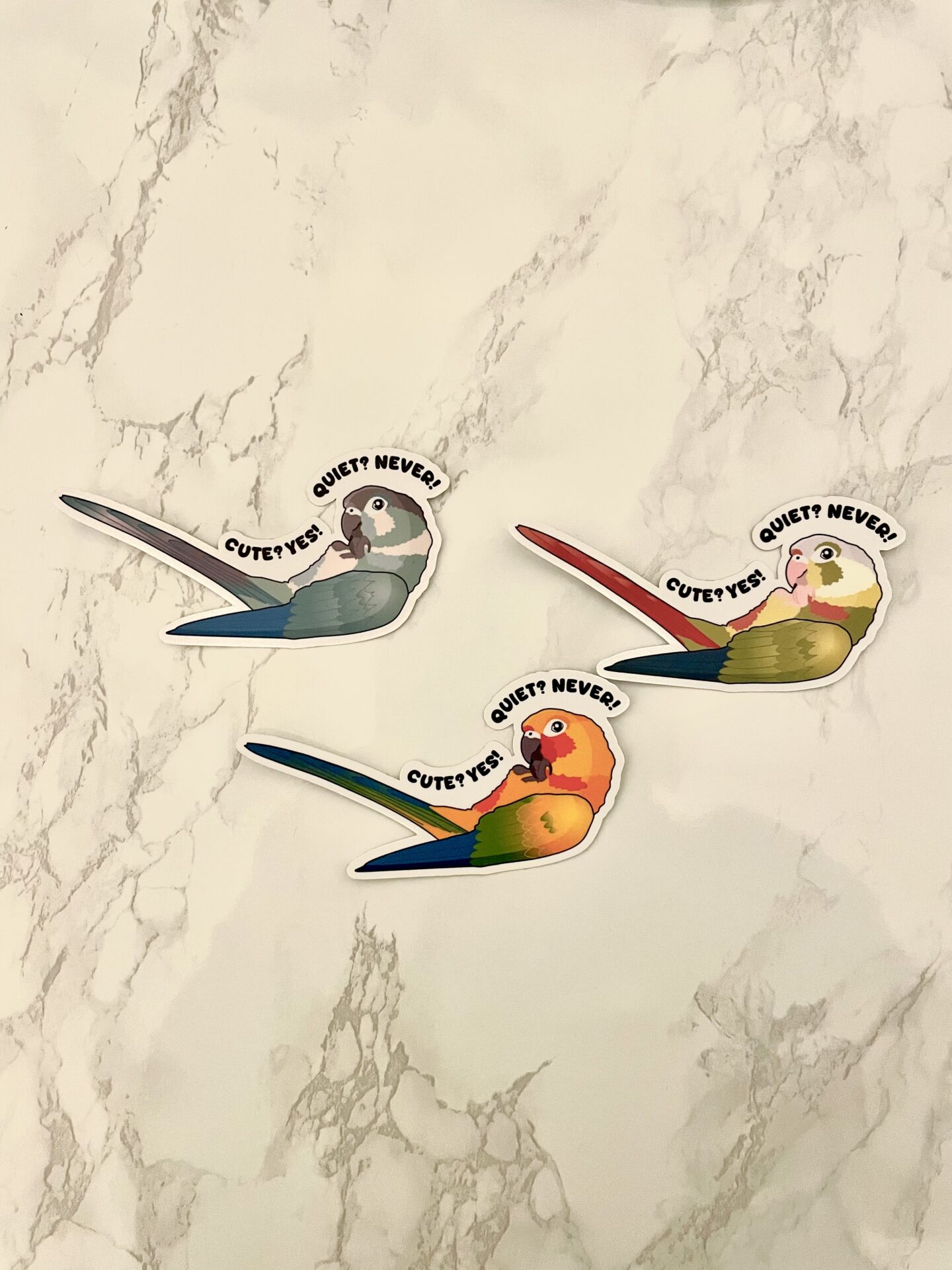 Conure ‘Cute? Yes! Quite? Never!’ Sticker - Afbeelding 2