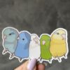 Parrotlet Flock Sticker
