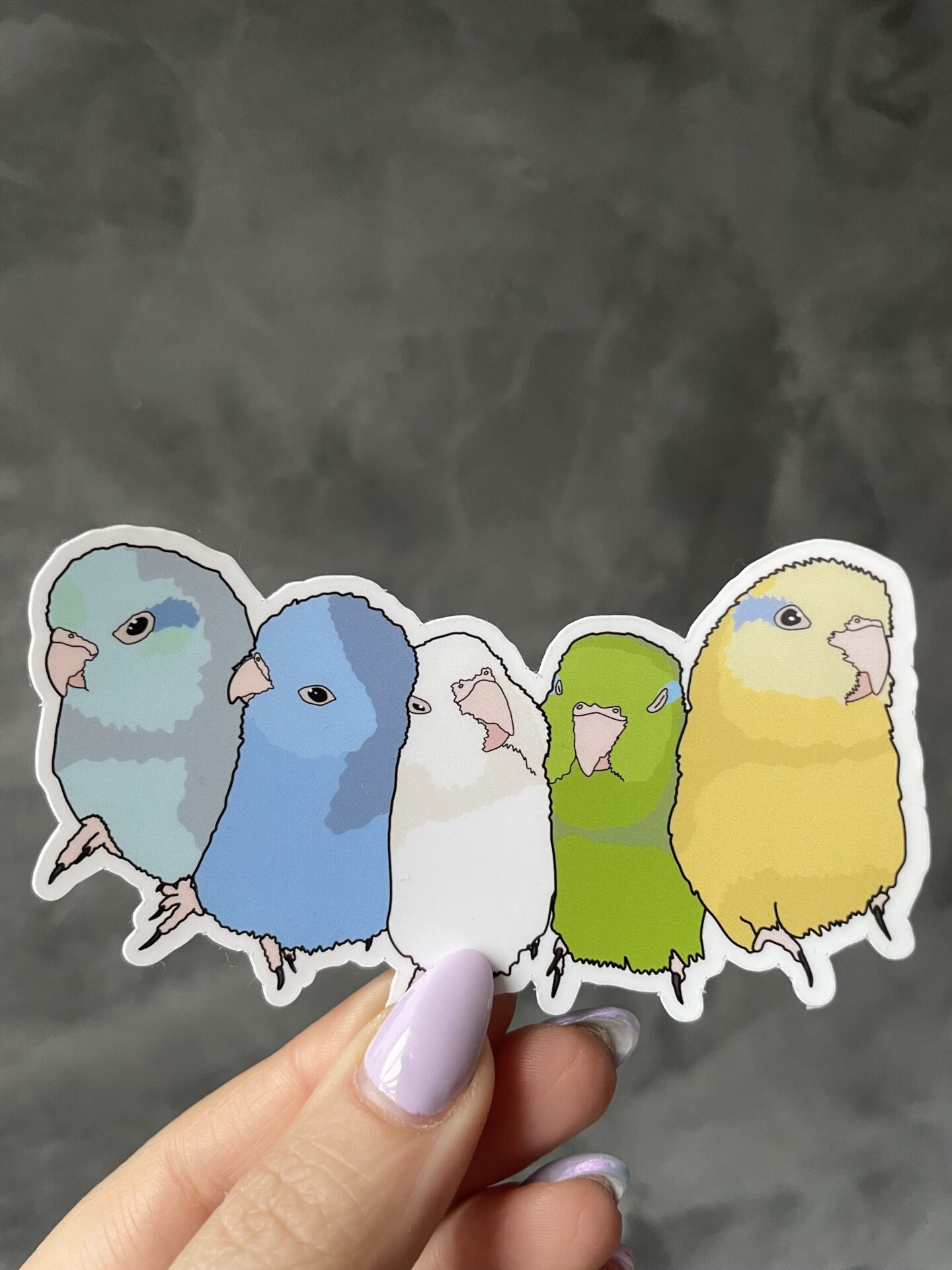 Forpus flock Sticker
