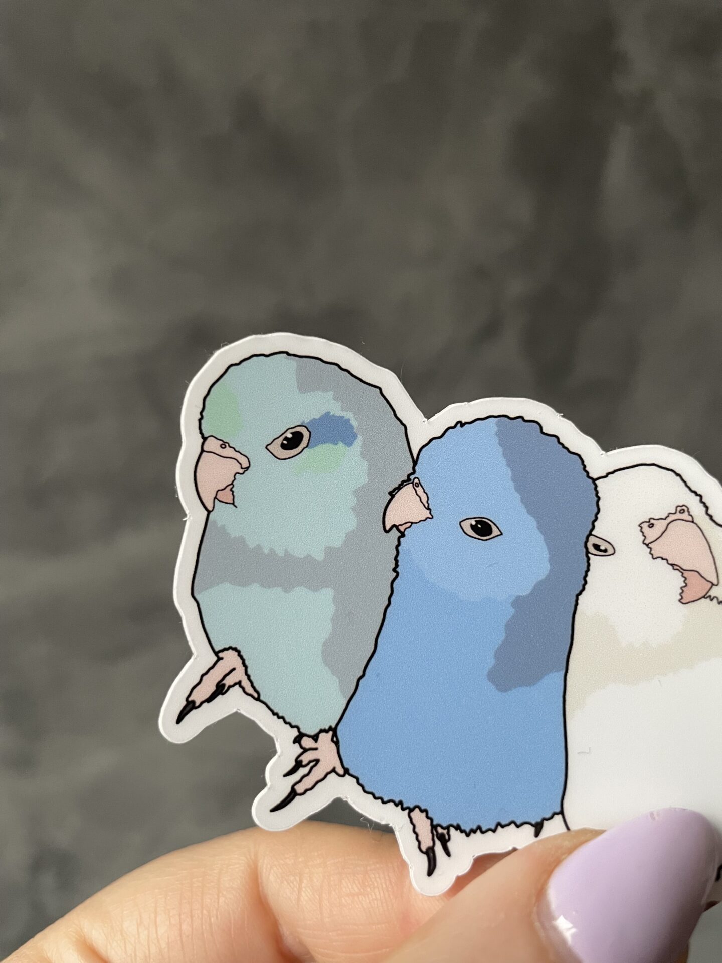 Forpus flock Sticker - Afbeelding 2