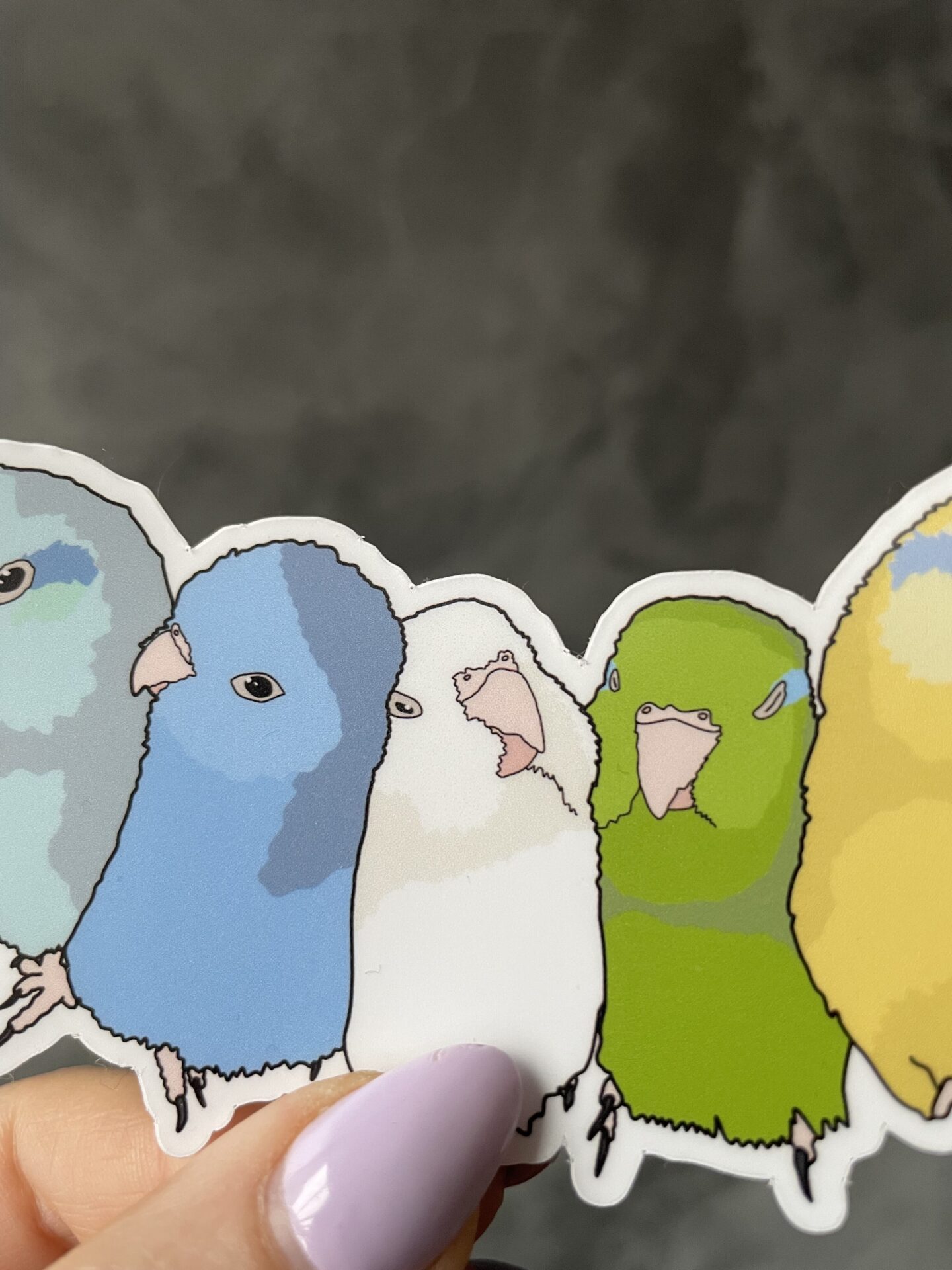Forpus flock Sticker - Afbeelding 4