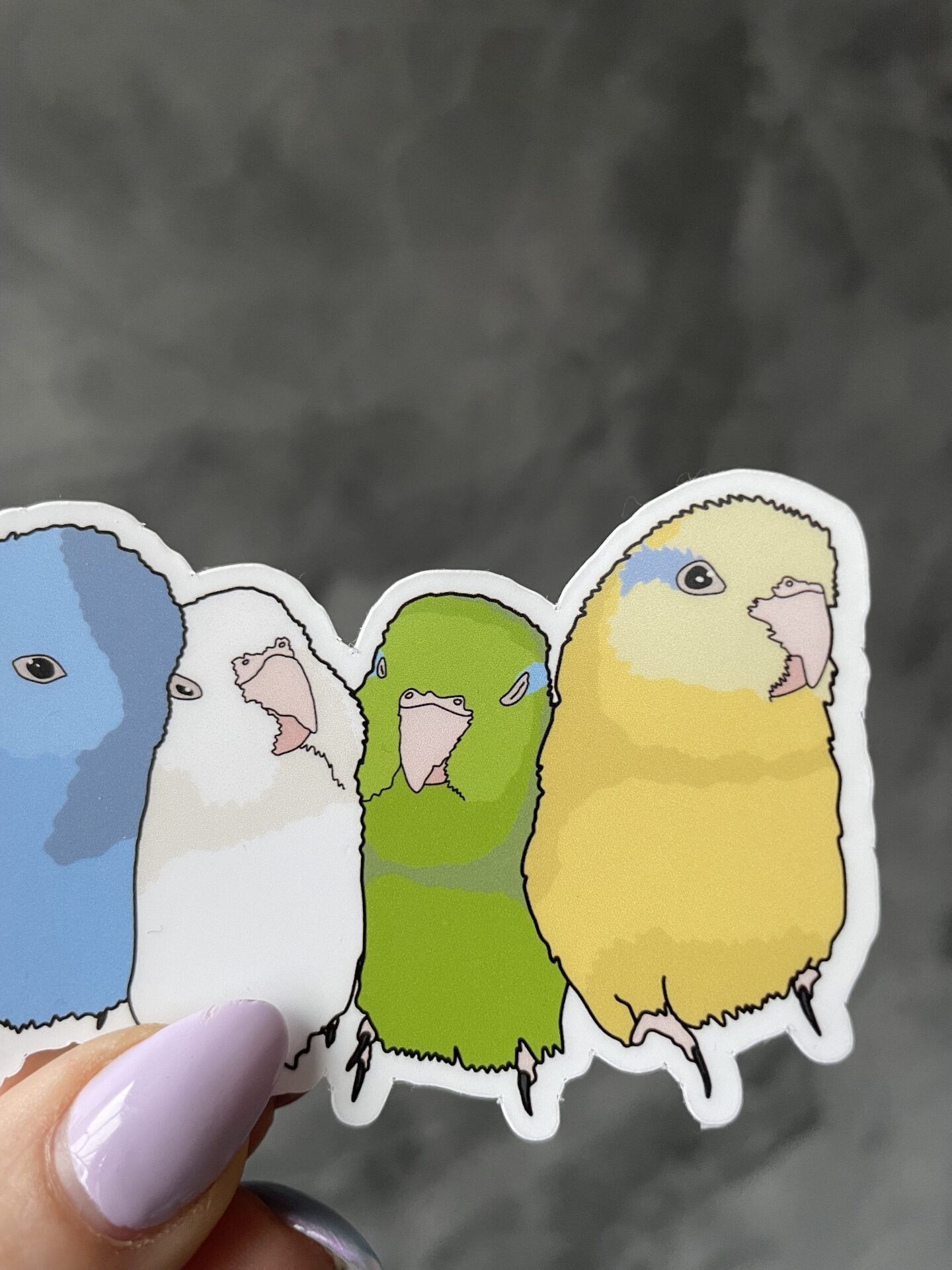 Forpus flock Sticker - Afbeelding 3