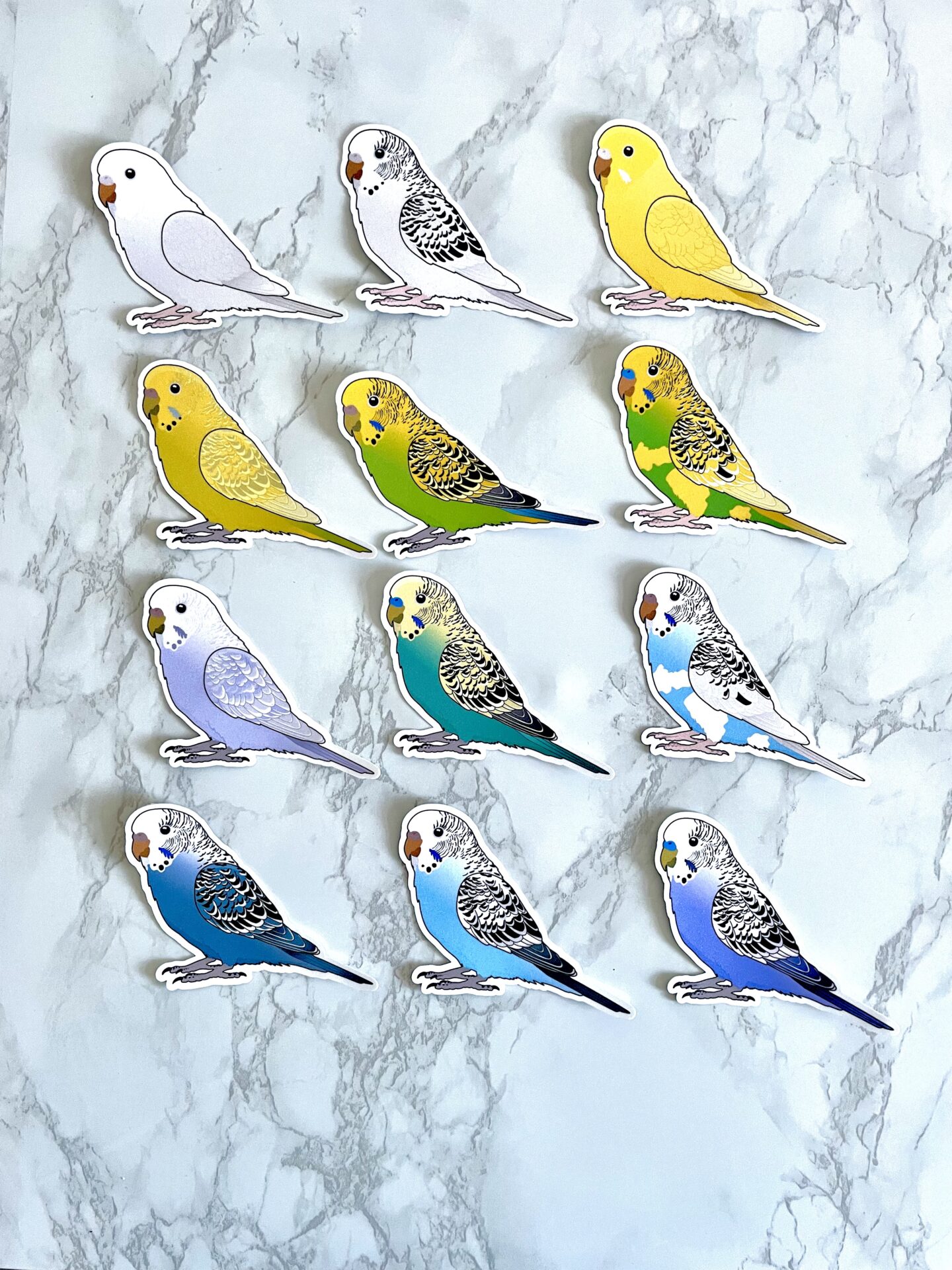 Grasparkiet Sticker - Afbeelding 3