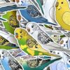 Budgie Glitter Sticker