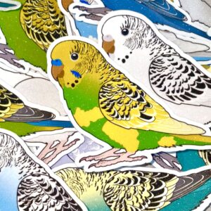 Alternative view of Grasparkiet Sticker