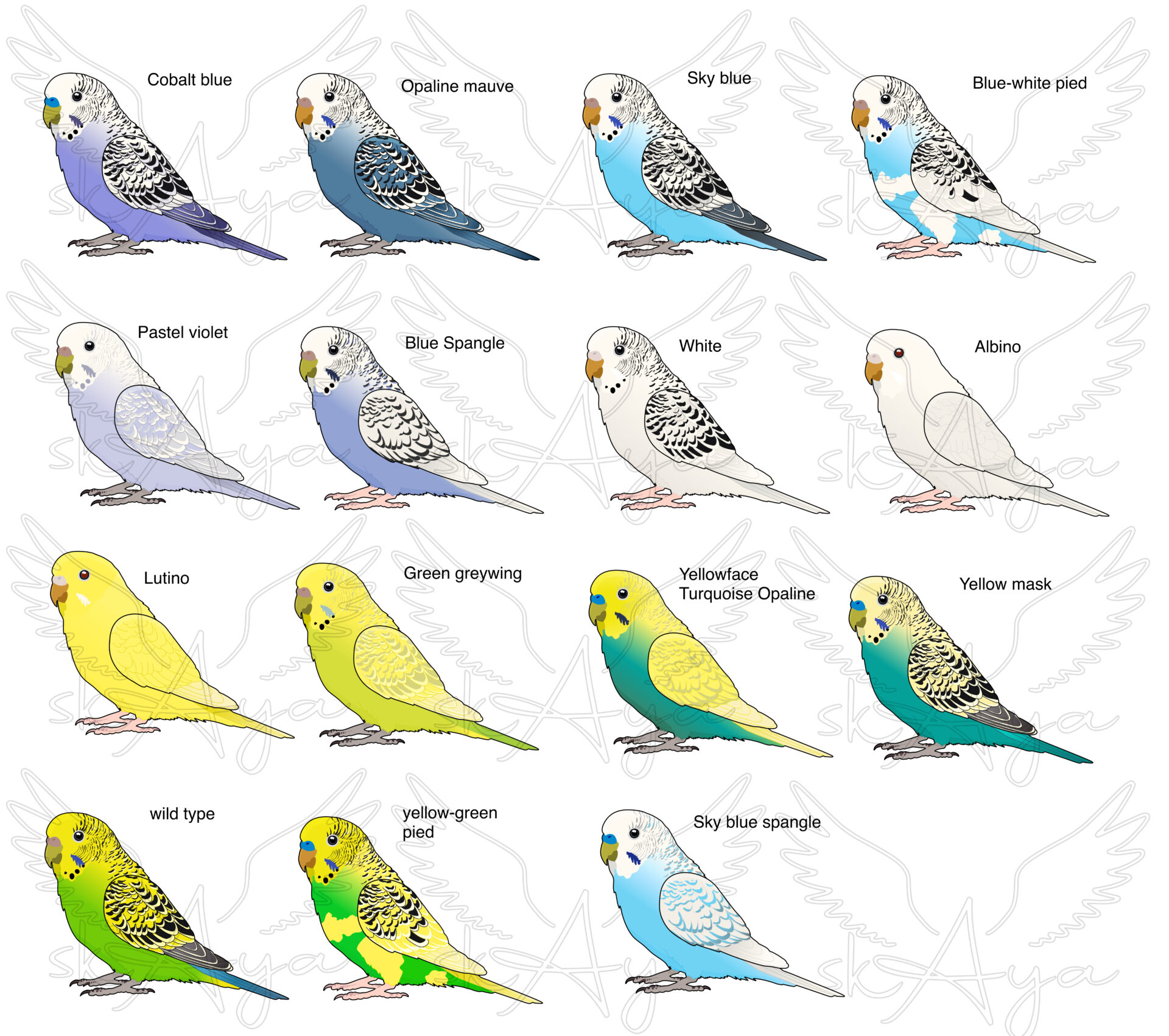 Budgie Acrylic Shaker Pieces - Image 3