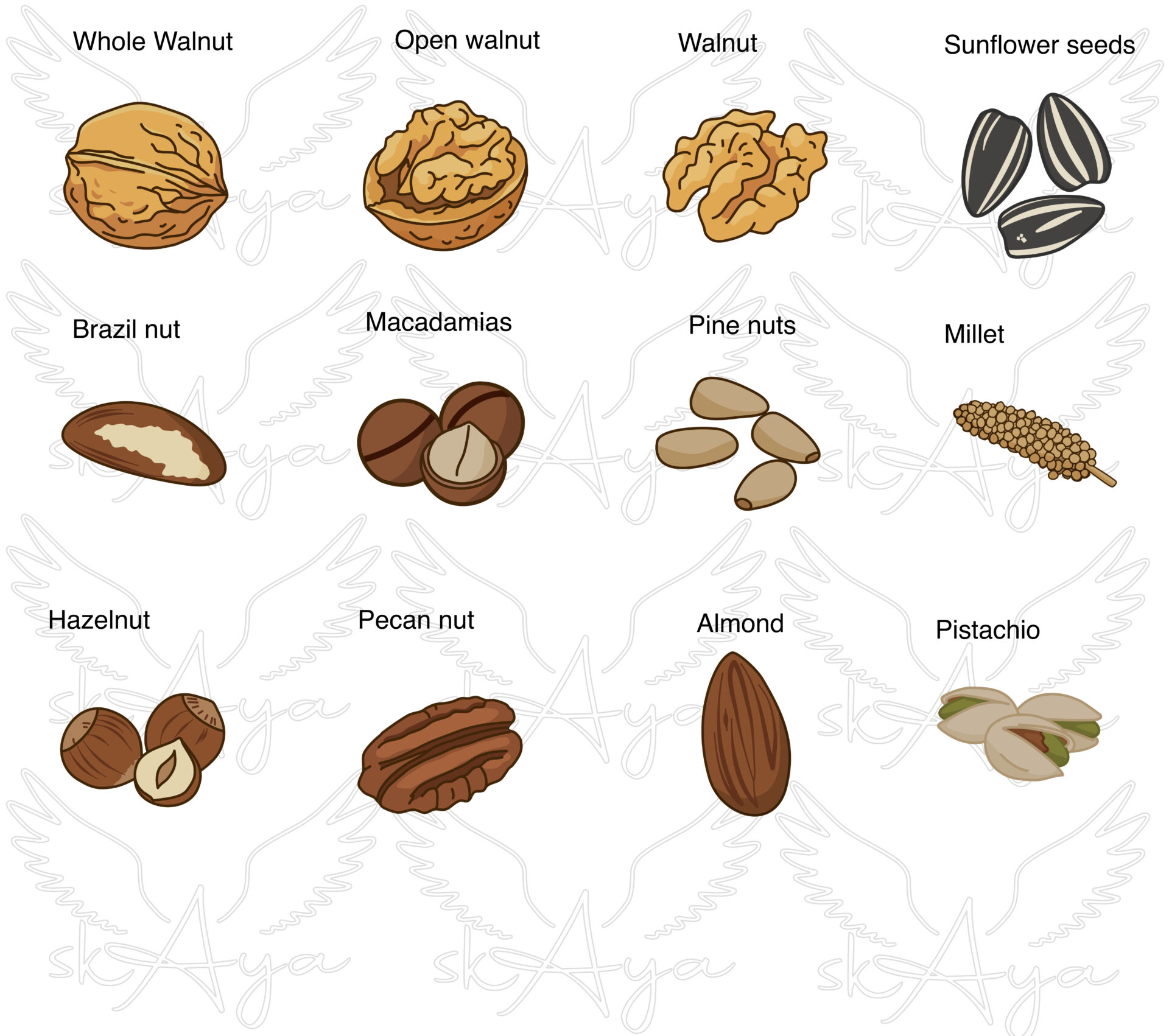 Shaker Nuts & Seeds Pieces - Image 3