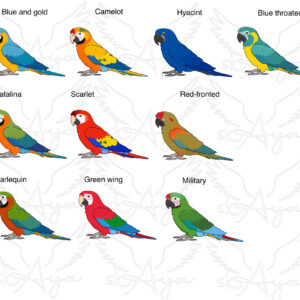 Alternative view of Macaw Glitter Sticker