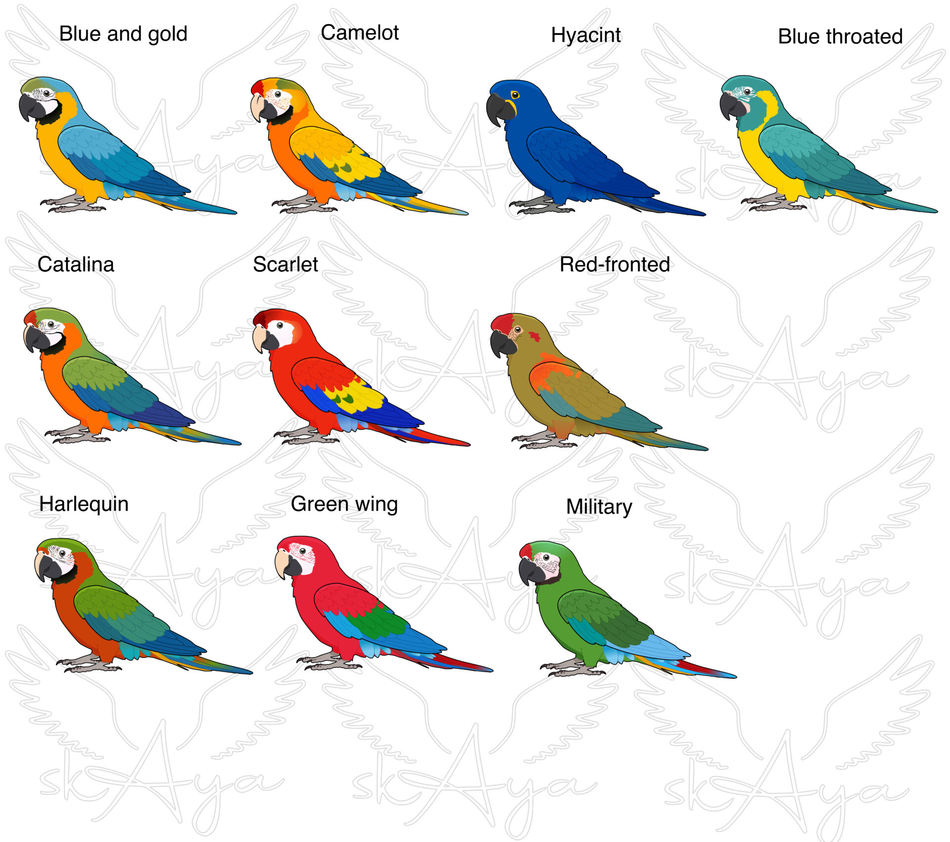 Macaw Glitter Sticker - Image 2