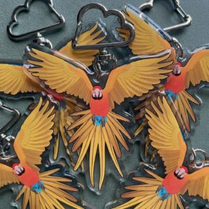 Macaw Acrylic Keychain - Camelot macaw