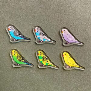 Budgie Acrylic Shaker Pieces