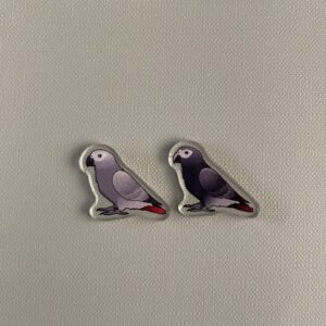 Alternative view of African grey Acrylic Shaker Pieces