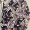 African grey Acrylic Shaker Pieces