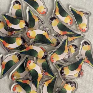 Caique Acrylic Shaker Pieces