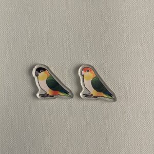 Caique Acrylic Shaker Pieces - Image 3