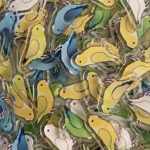 Parrotlet Acrylic Shaker Pieces