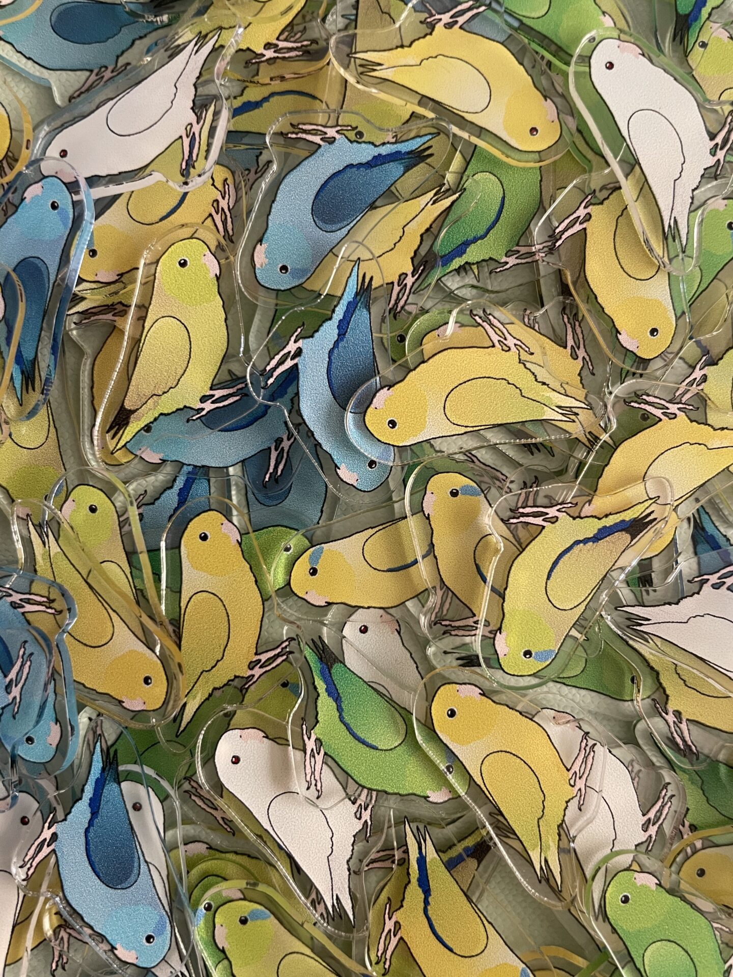 Parrotlet Acrylic Shaker Pieces