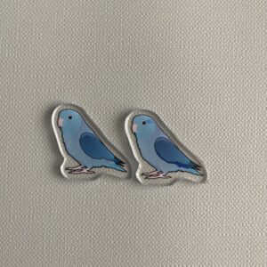 Parrotlet Acrylic Shaker Pieces - Image 5