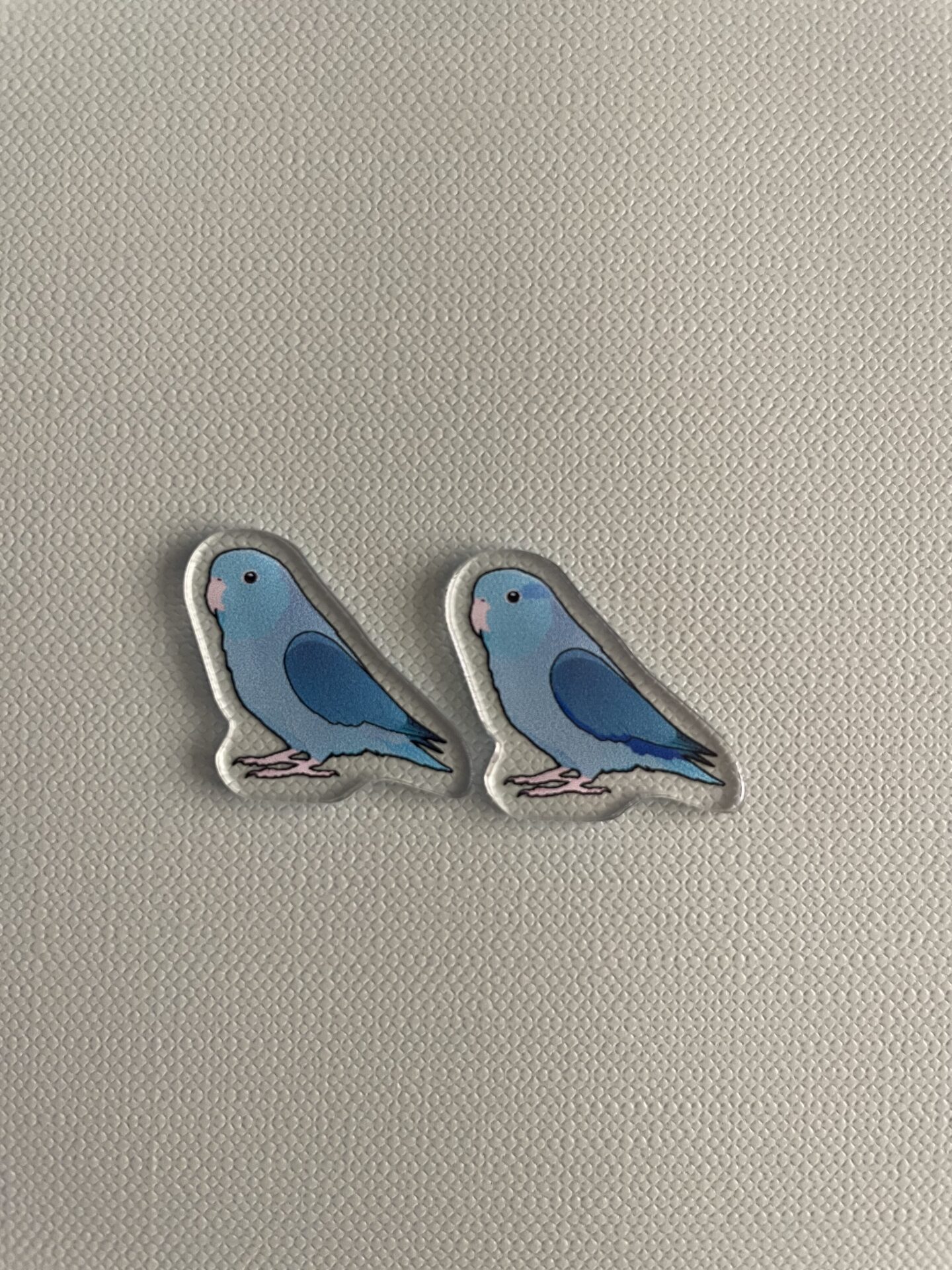 Parrotlet Acrylic Shaker Pieces - Image 5
