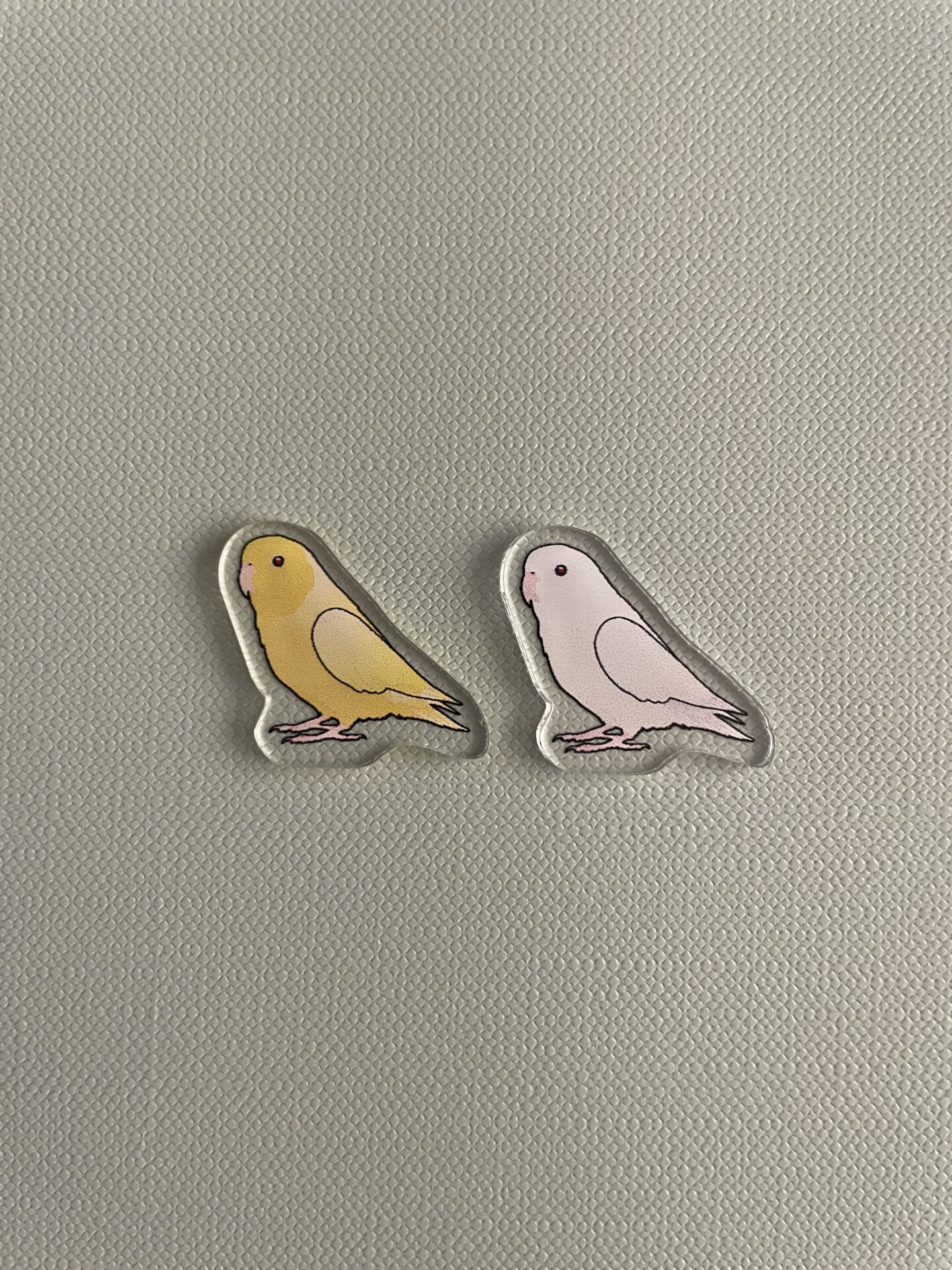 Parrotlet Acrylic Shaker Pieces - Image 6