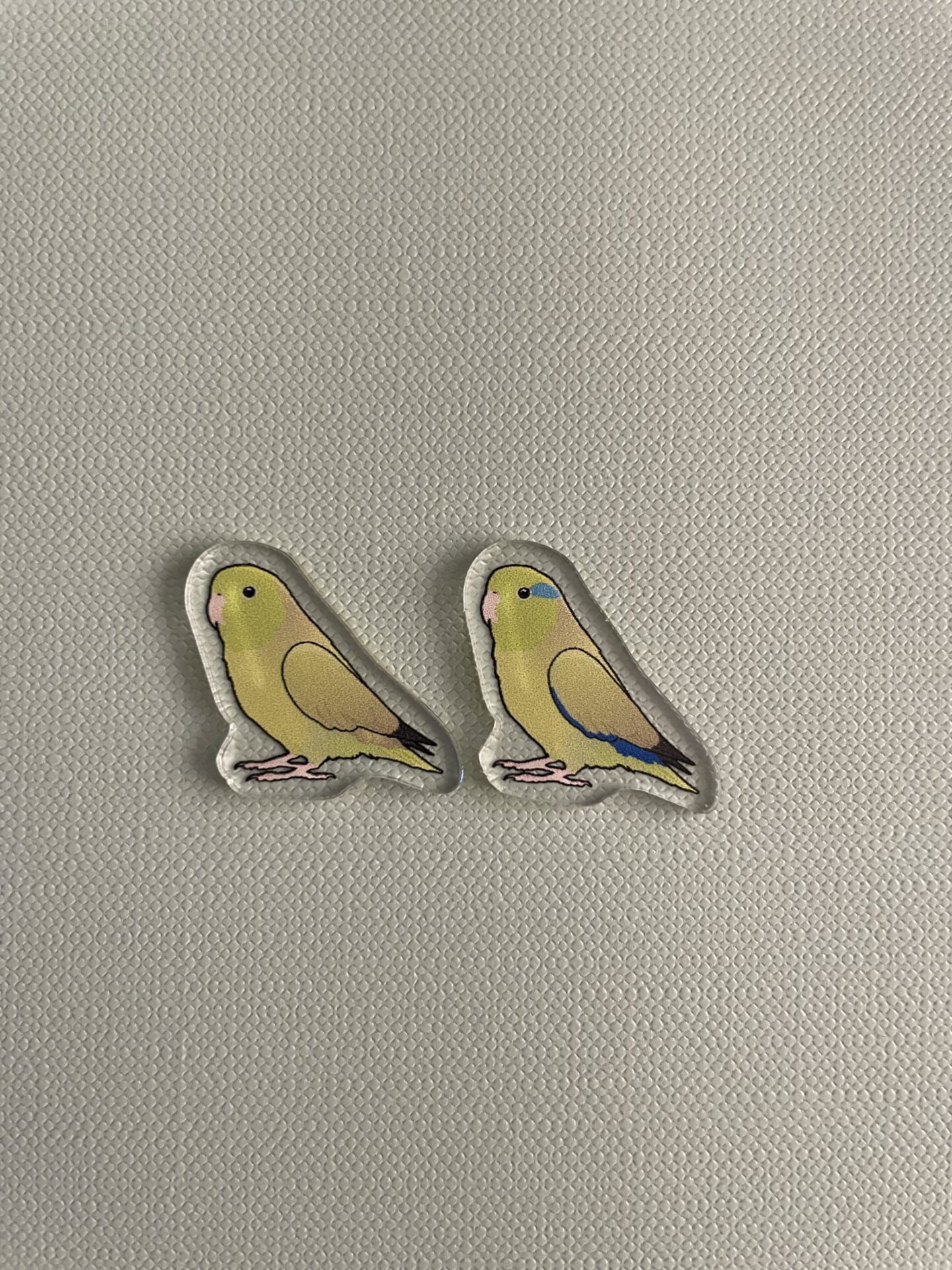 Parrotlet Acrylic Shaker Pieces - Image 7