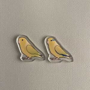 Parrotlet Acrylic Shaker Pieces - Image 8