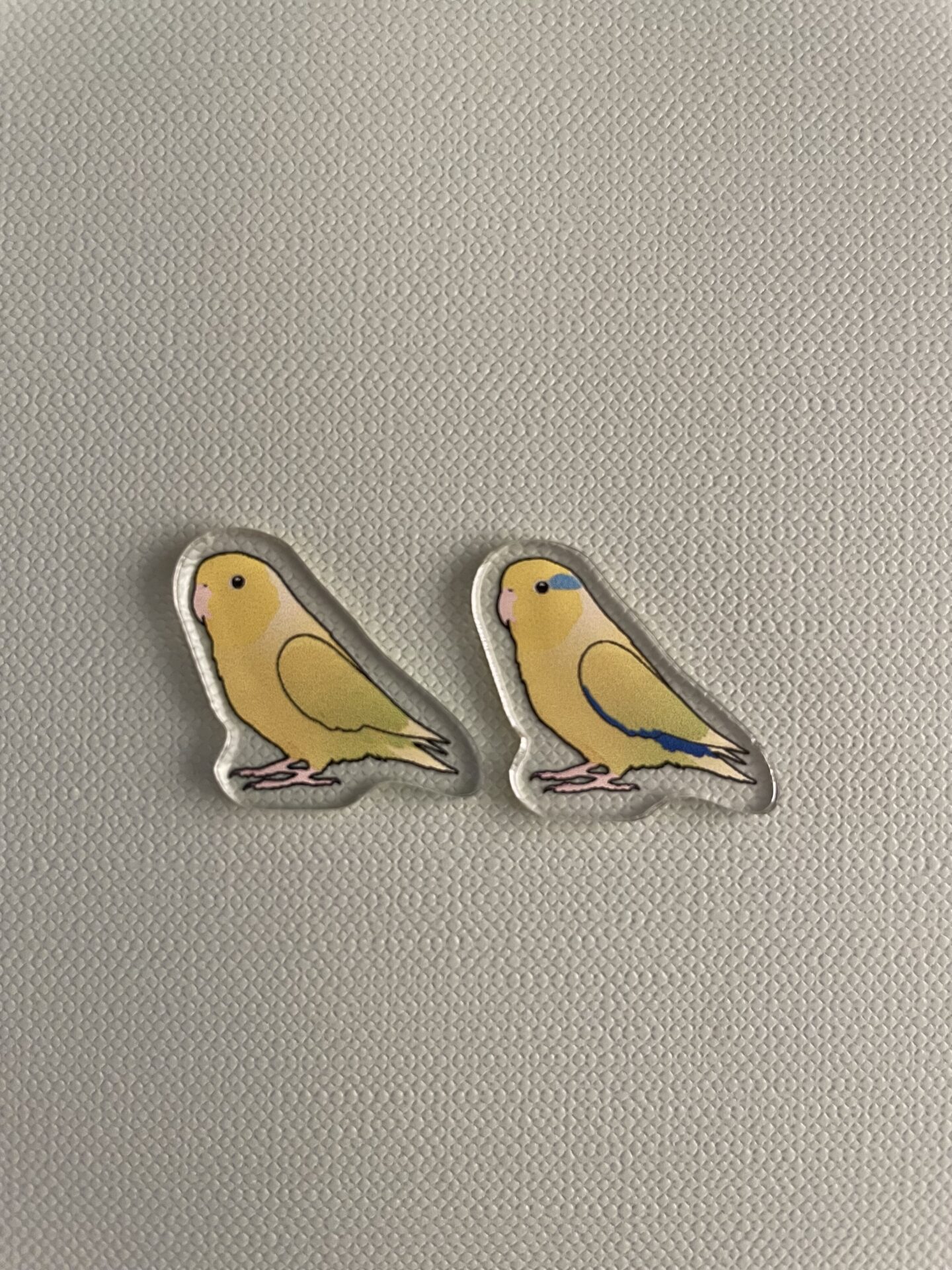 Parrotlet Acrylic Shaker Pieces - Image 8