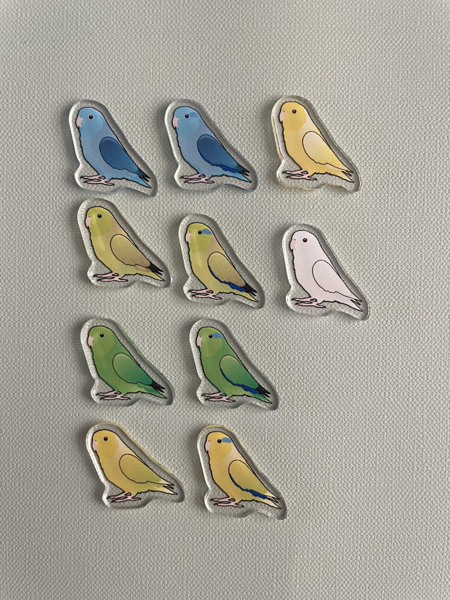 Parrotlet Acrylic Shaker Pieces - Image 9