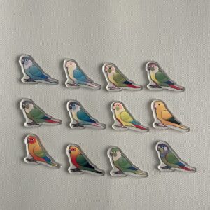 Conure Acrylic Shaker Pieces - Image 3