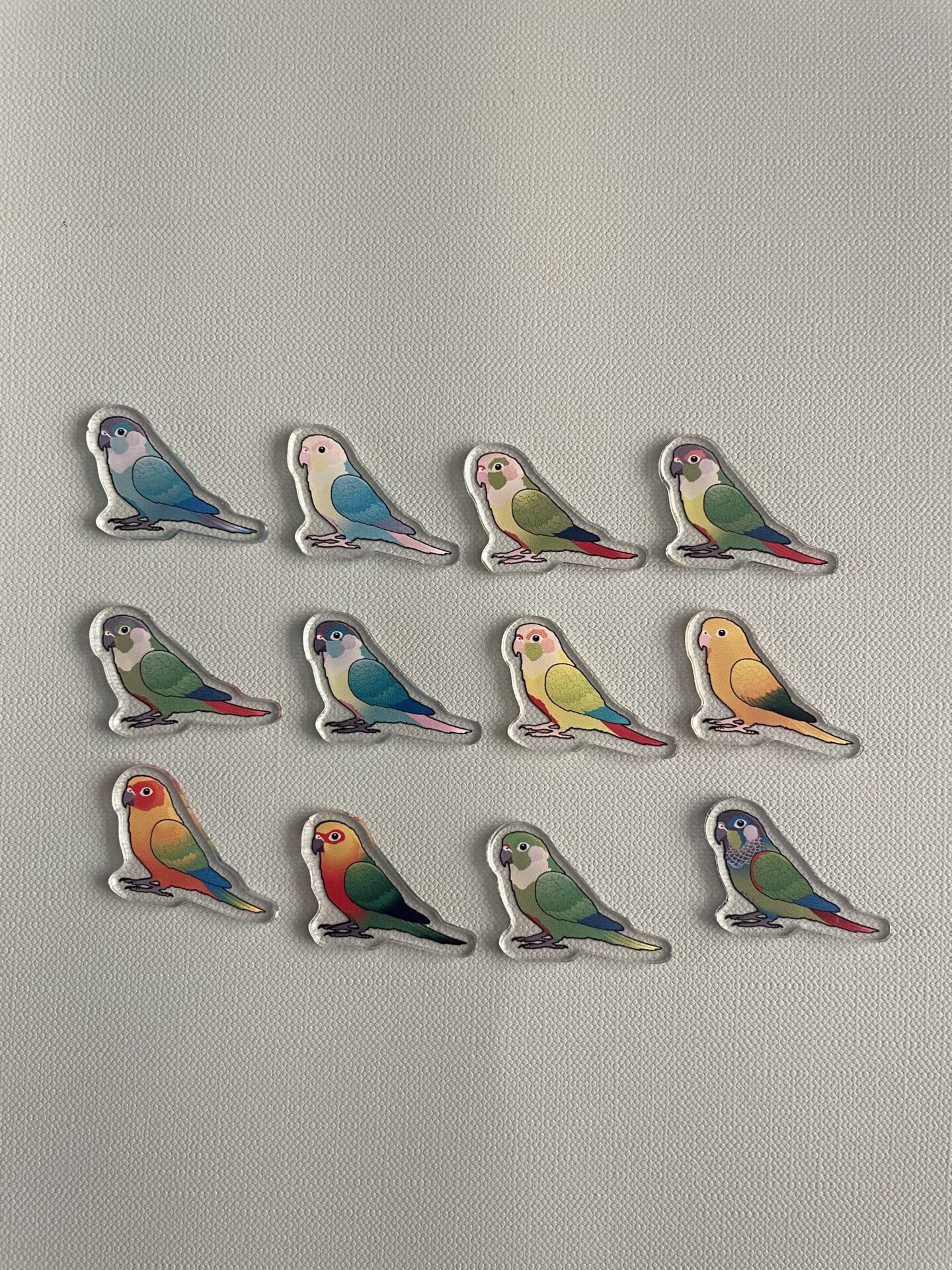 Conure Acrylic Shaker Pieces - Image 3