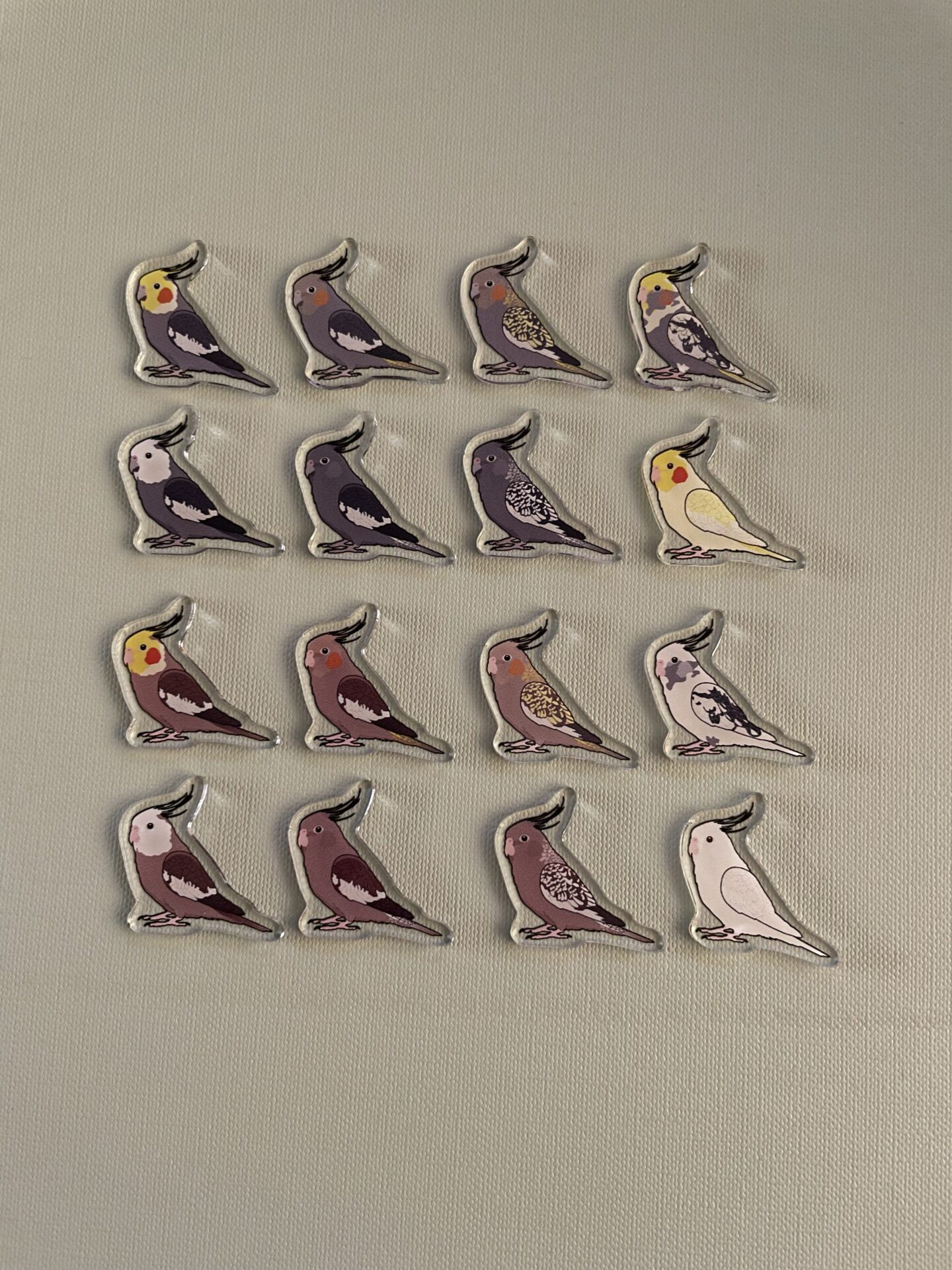 Cockatiel Acrylic Shaker Pieces - Image 2