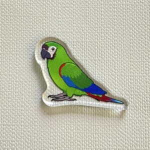 Mini macaw Acrylic Shaker Pieces
