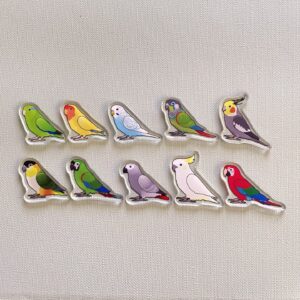 Alternative view of Pre-order Senegal Acrylic Shaker Pieces