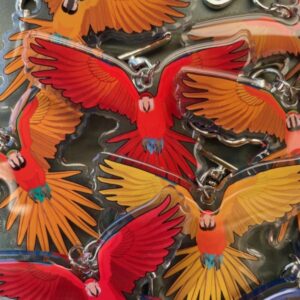 Macaw Acrylic Keychain