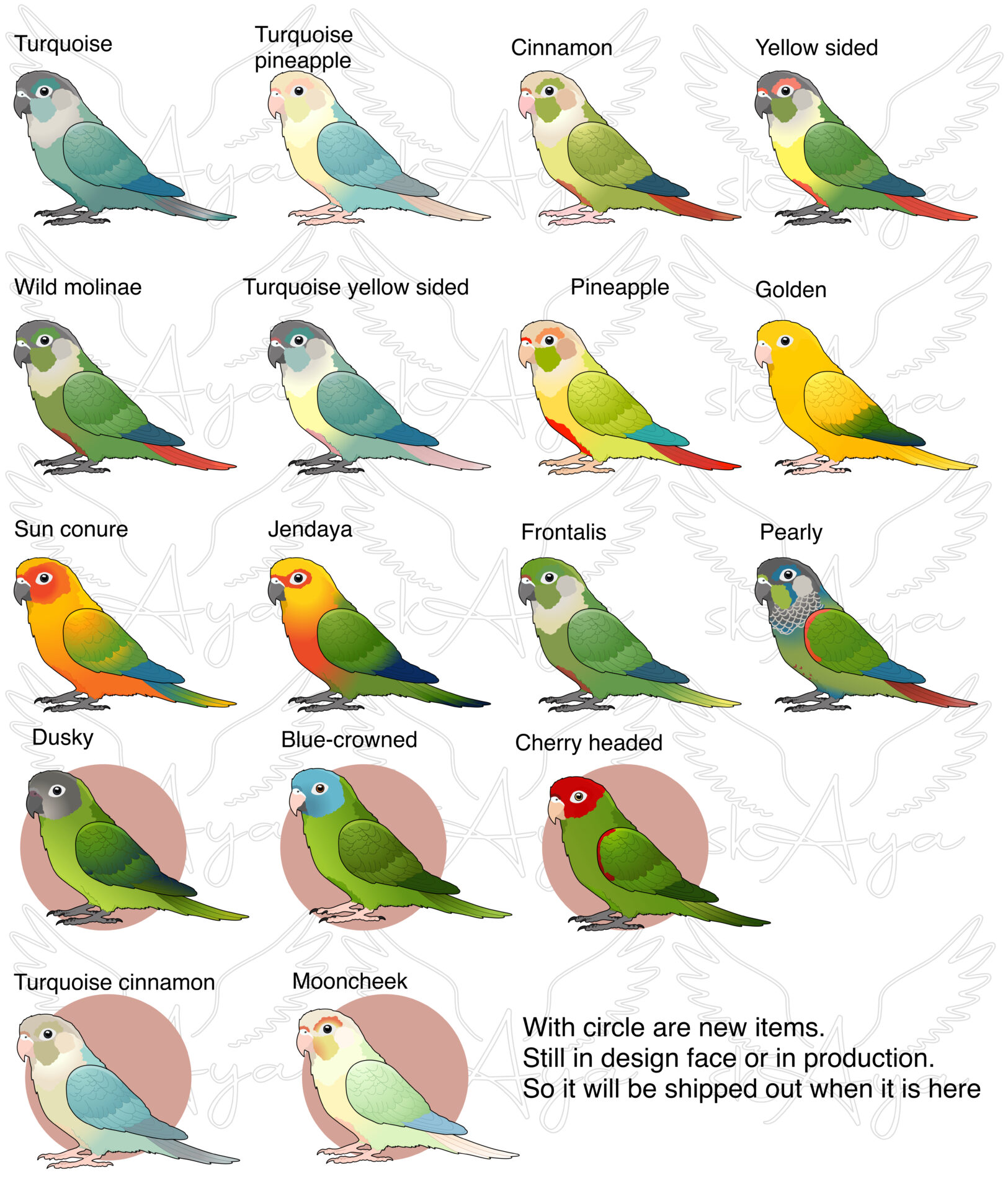Conure Acrylic Shaker Pieces - Image 2