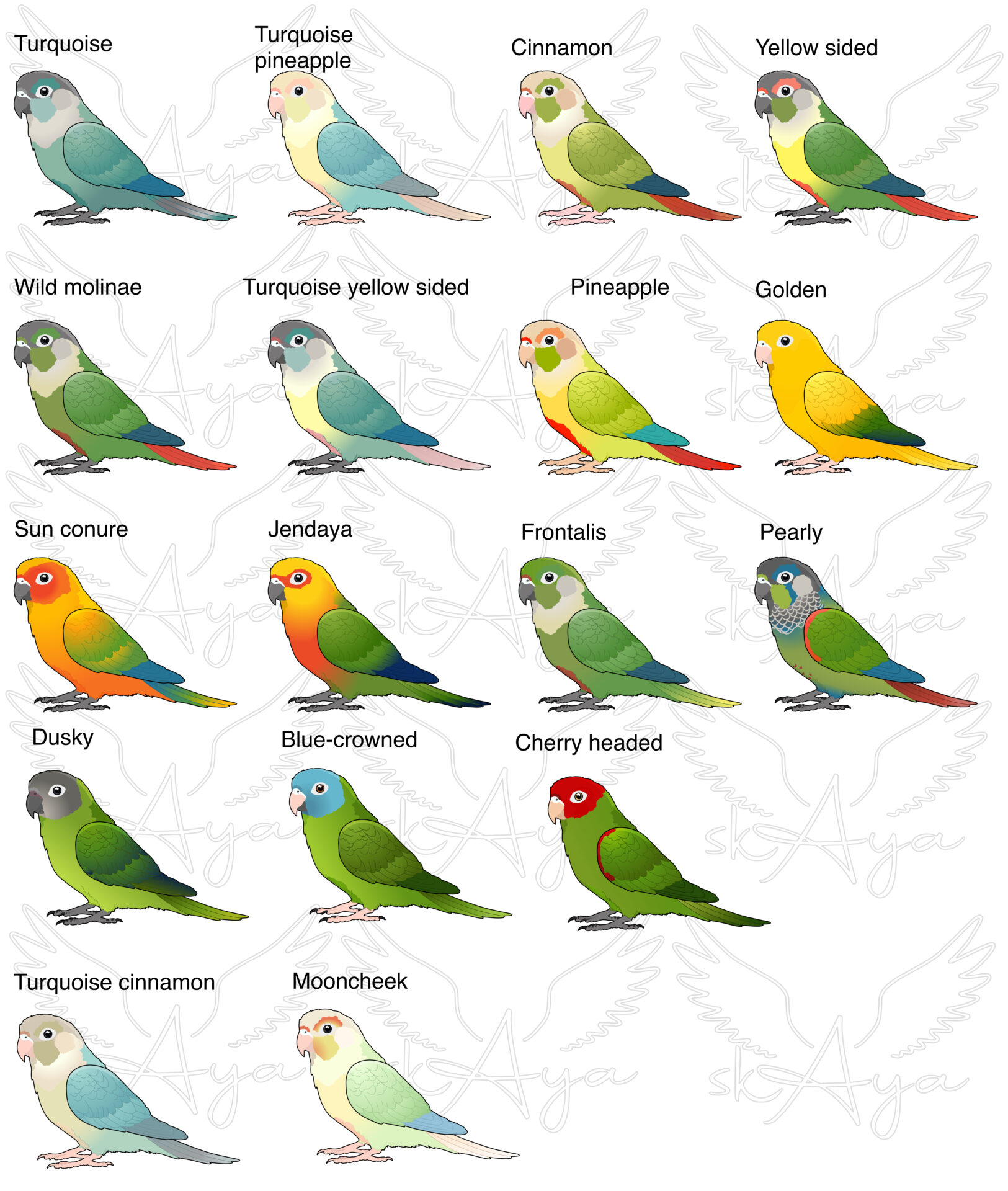 Conure Glitter Sticker - Image 2