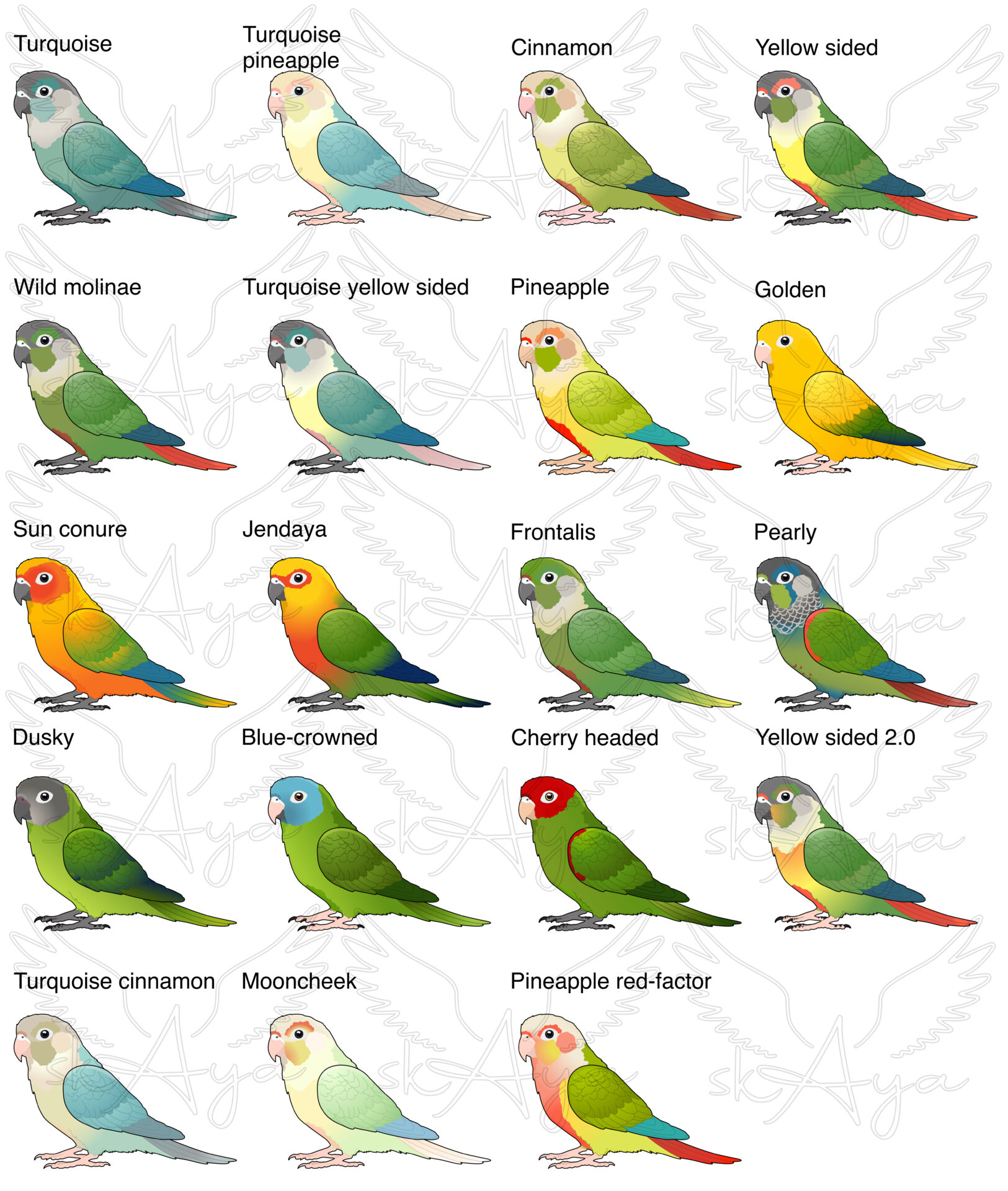 Conure Glitter Sticker - Image 2