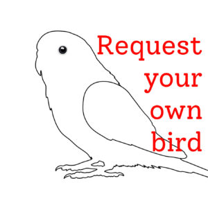 Custom Bird Acrylic Shaker Pieces – Preorder Your Bird