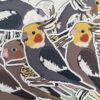 Cockatiel Glitter Sticker