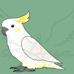 Pre-order Cockatoo Acrylic Shaker Pieces